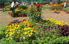 Mangalurus Flower show from Jan 23